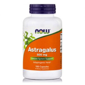 ASTRAGALUS 500MG 100CAPS NOW